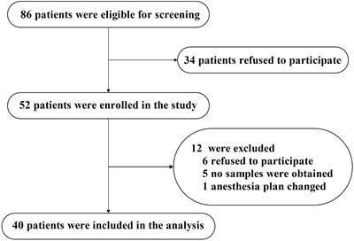 NeurimmiRs and Postoperative Delirium in Elderly Patients Undergoing Total Hip/Knee Replacement: A Pilot Study